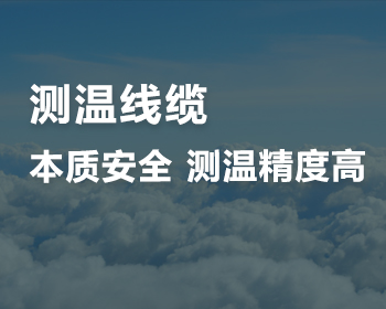 測溫線纜安裝簡單，無電檢測，是糧倉、煤棚等必不可少的溫度監(jiān)測工具?